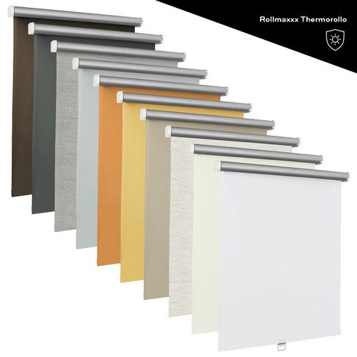 Springrollo standard rollo - springrollo, standard-rollo